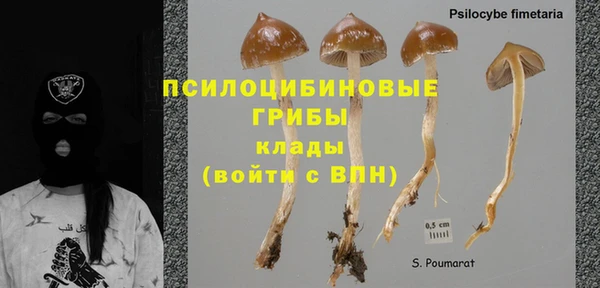бошки Алзамай