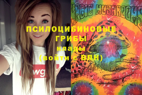 spice Алексеевка