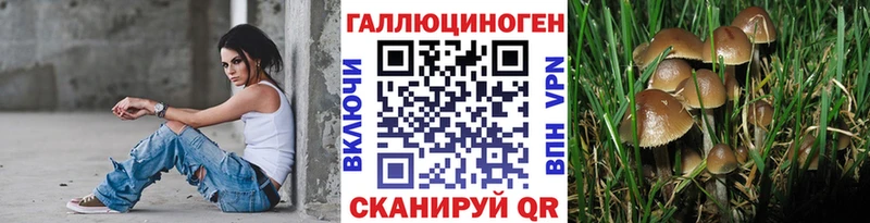 mega tor Кизел Псилоцибиновые грибы Cubensis
